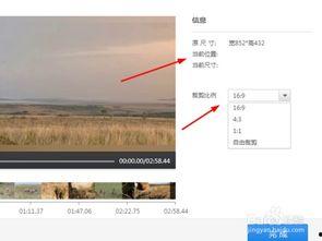 最新爆料 第3页