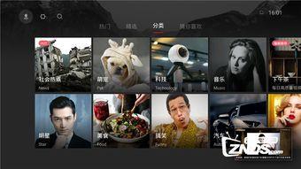 视频kd,揭秘高效内容创作与传播之道