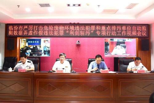 污动态视频,一场视觉与情感的交织之旅