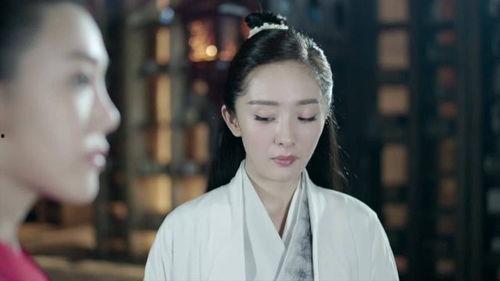 扶摇 视频,穿越时空的奇幻之旅,谱写传奇人生