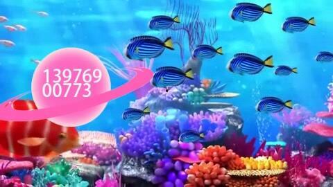 海底世界儿歌视频,儿歌视频带你畅游奇幻海底世界