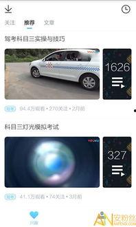 驾校视频网站,轻松掌握驾驶技巧，轻松上路