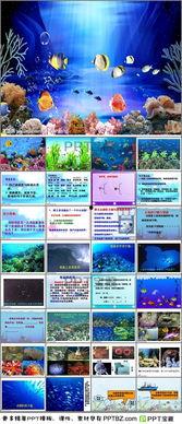 海底世界课文朗读视频